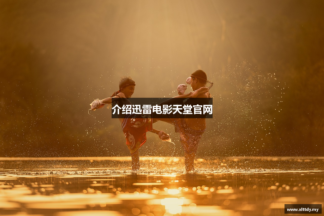 介绍迅雷电影天堂官网